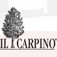Il Carpino