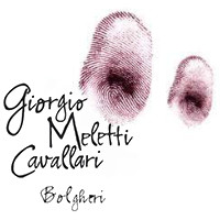 Giorgio Meletti Cavallari