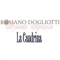 Romano Dogliotti