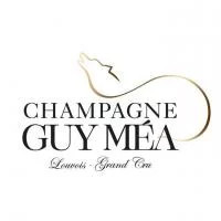 Guy Mea