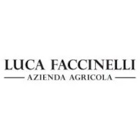 Luca Faccinelli