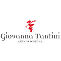 Giovanna Tantini