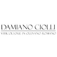 Damiano Ciolli