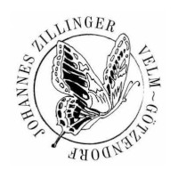 Johannes Zillinger
