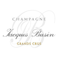 Jacques Busin