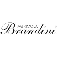 Brandini