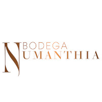 Bodega Numanthia