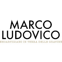 Marco Ludovico