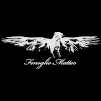 Fenoglio Matteo