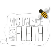 Vincent Fleith