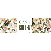 Casa Bollén