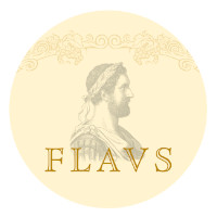 Flavs