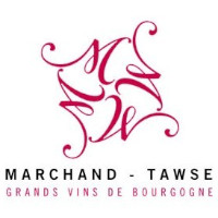 Pascal Marchand-tawse
