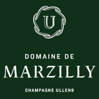 Domaine De Marzilly