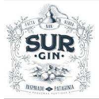 Gin Sur