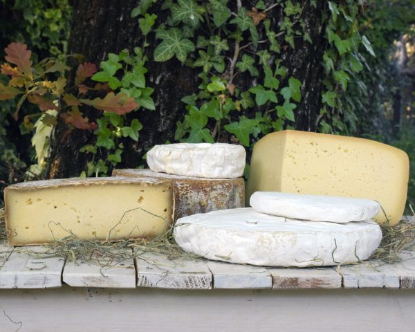 Il Bagnolo