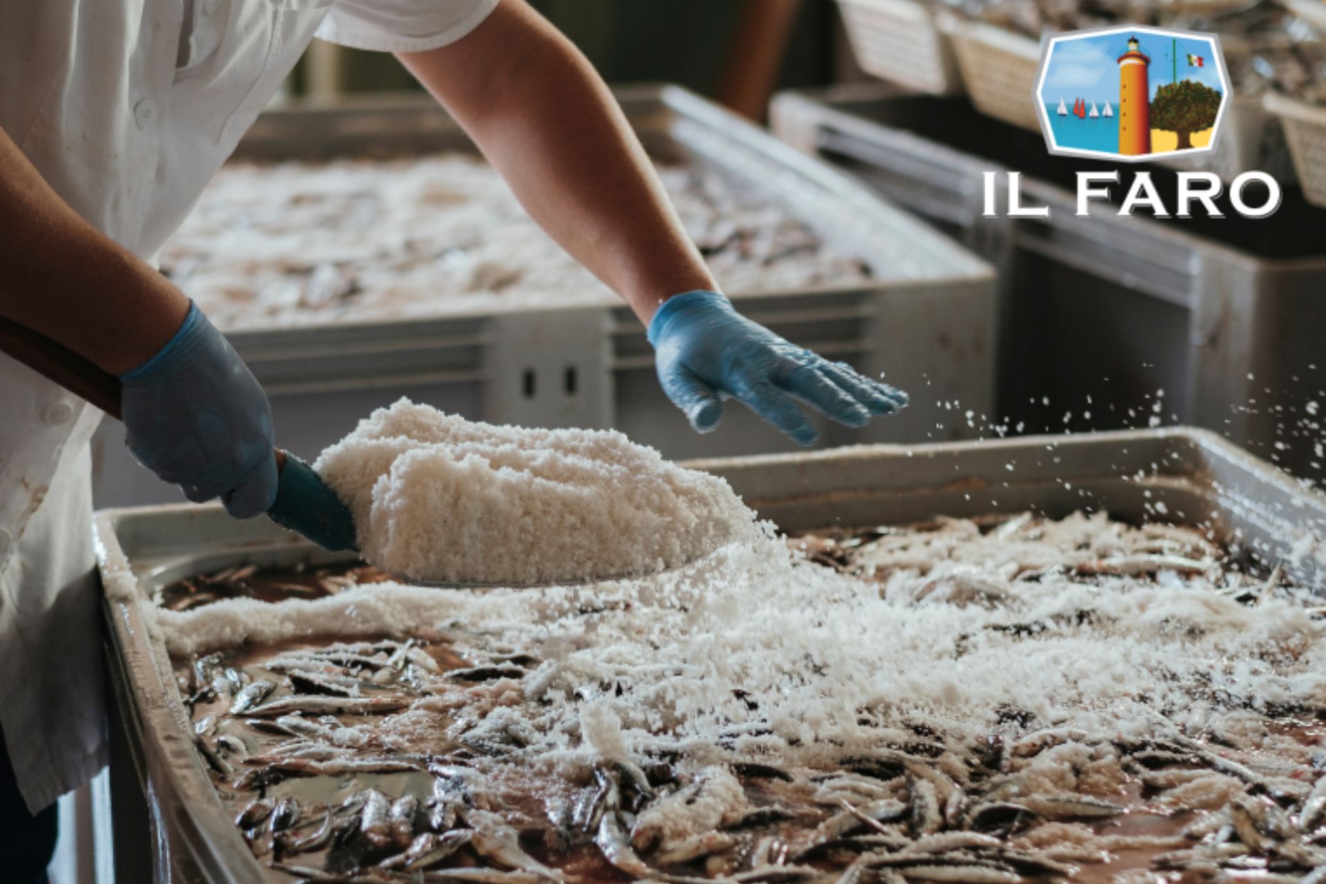 Il Faro, Fish Specialties and the Maritime History of Sciacca