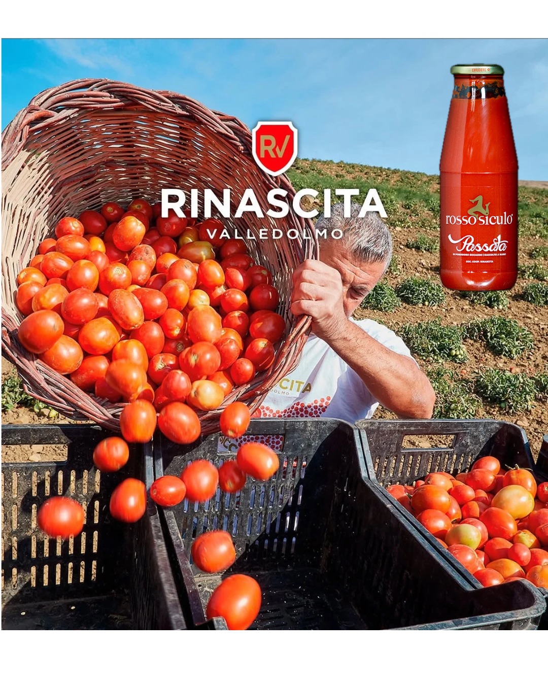 The Siccagno Tomato, a treasure born of necessity