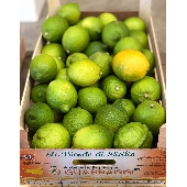 Sicilian lemons from Ribera