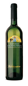 FALANGHINA SANNIO MASTROBERARDINO