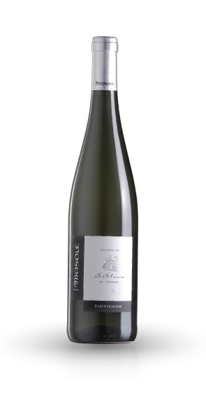 SAUVIGNON I.G.T. - Tenuta Mosole