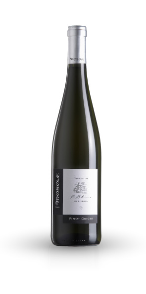 PINOT GRIGIO I.G.T. - Tenuta Mosole