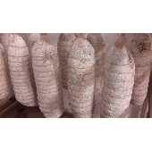 Bresaola made from Piedmontese beef of Fassona breed - Macelleria Mastra Alebardi