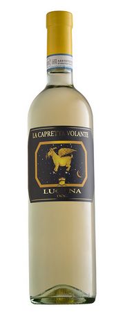 CAPRETTA VOLANTE LUGANA - Carlo Zenegaglia